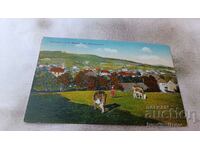 Postcard Hausern b. St. Biasien 1923