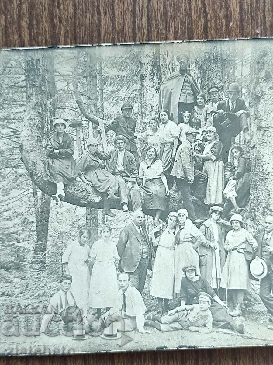 Auction  Old photo Kingdom of Bulgaria - Chamkoria