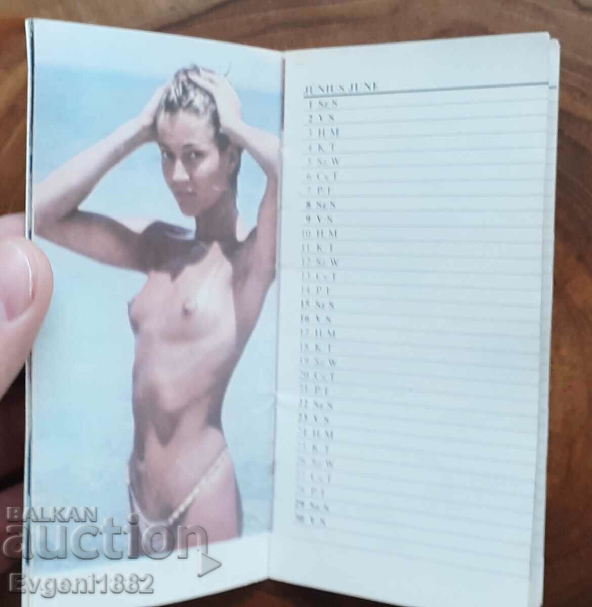 Articles erotic notebooks with calendars 1991 - 5 Articles erotic notebooks with calendars 1991 - 5
