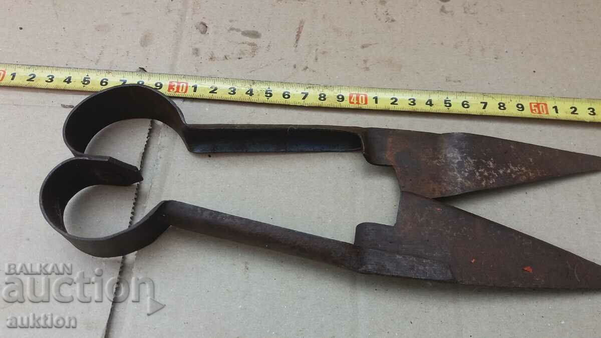 Delivery of OLD SHEEP SHEARS Delivery of OLD SHEEP SHEARS