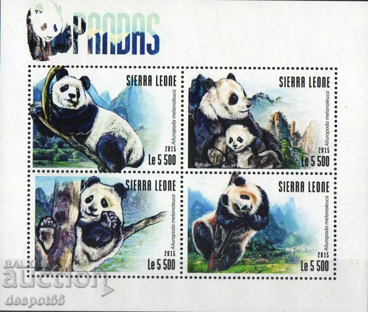 2015. Sierra Leone. Fauna - pandas. Block.