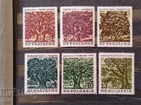 Bulgaria 1964 centuries-old trees