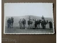 Caravan of camels Topolov city