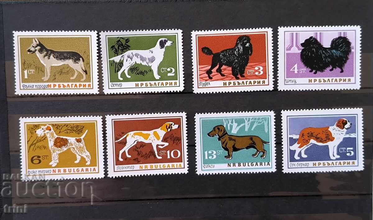 Bulgaria 1964 Dogs