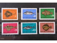 Bulgaria 1965 Black Sea fish