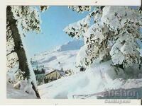 Card Bulgaria Sofia Vitosha Hotel Shtastlivetsa 7**