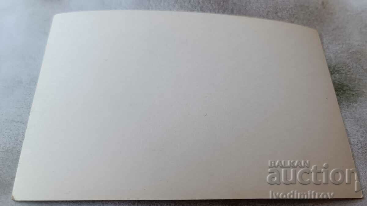 Photo Sofia Men and women in front of the mausoleum of Georgi Dimitrov with price 2.35 BGN | € 1.20 Photo Sofia Men and women in front of the mausoleum of Georgi Dimitrov with price 2.35 BGN | € 1.20