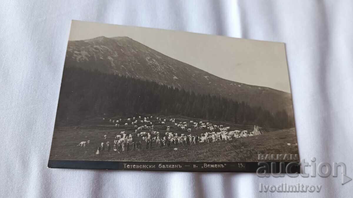 Carte poștală Tetevenski Balkan Vezhen Peak