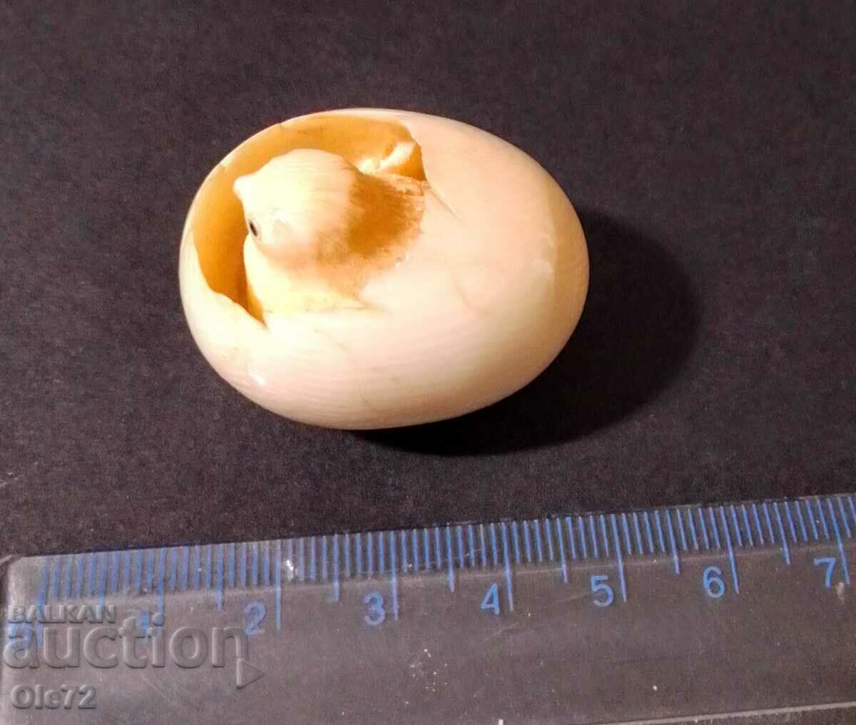 Netske, egg - soft bone