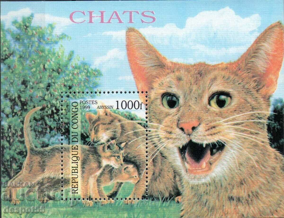 1999. Congo, Rep. Cats. Block.