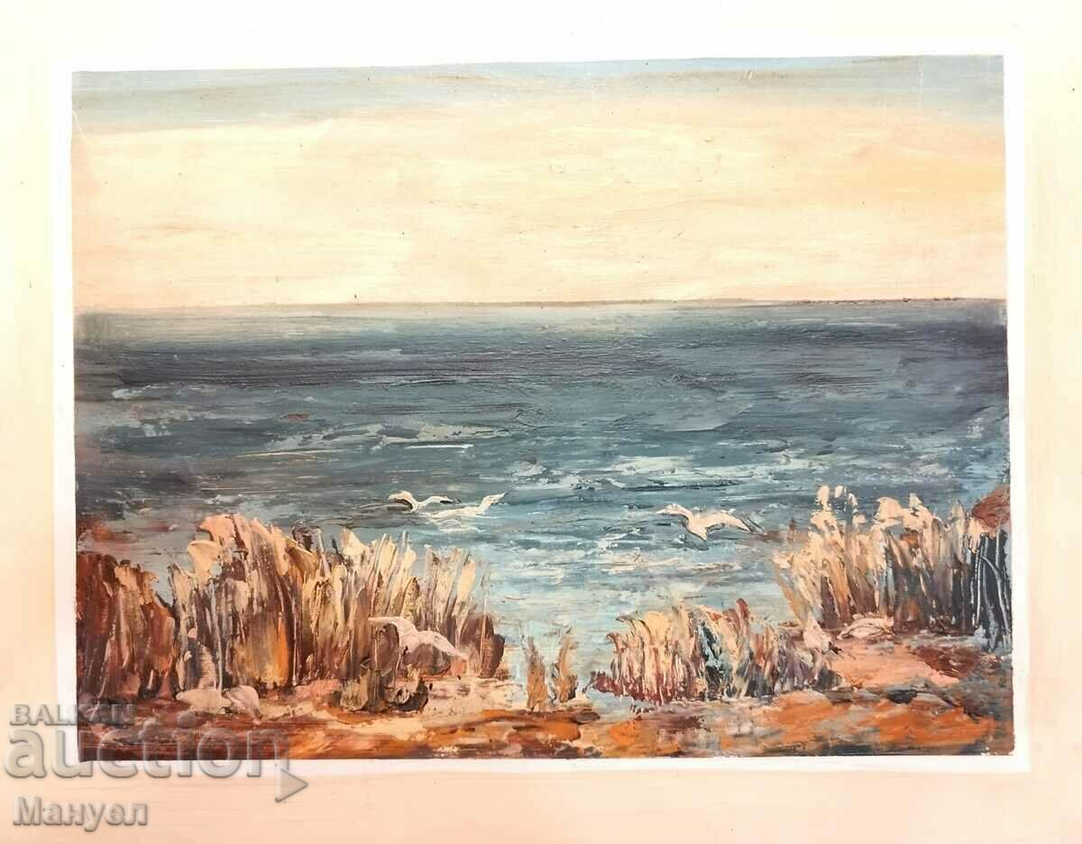 Δημοπρασία Θαλασσογραφία.