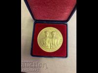 medal plaque For services to the DOT Honorary badge of the Ministry of the Interior with a box