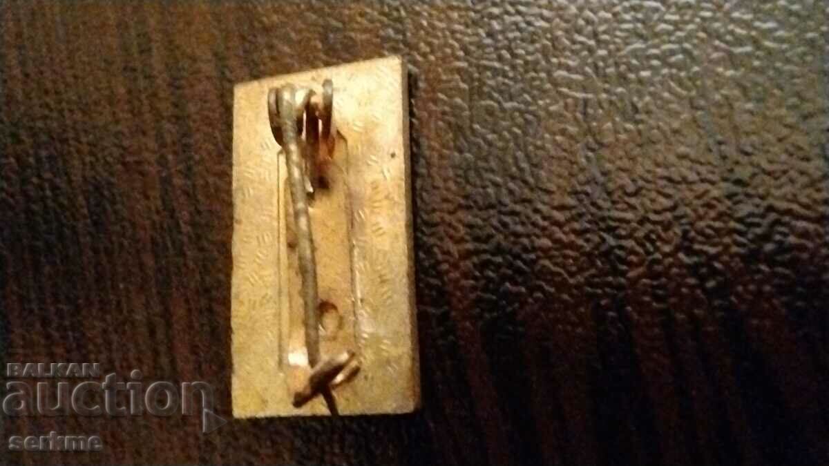 Badge with price 10.00 BGN | € 5.11