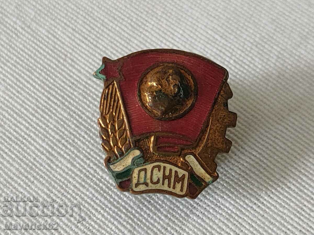 DSNM screw badge