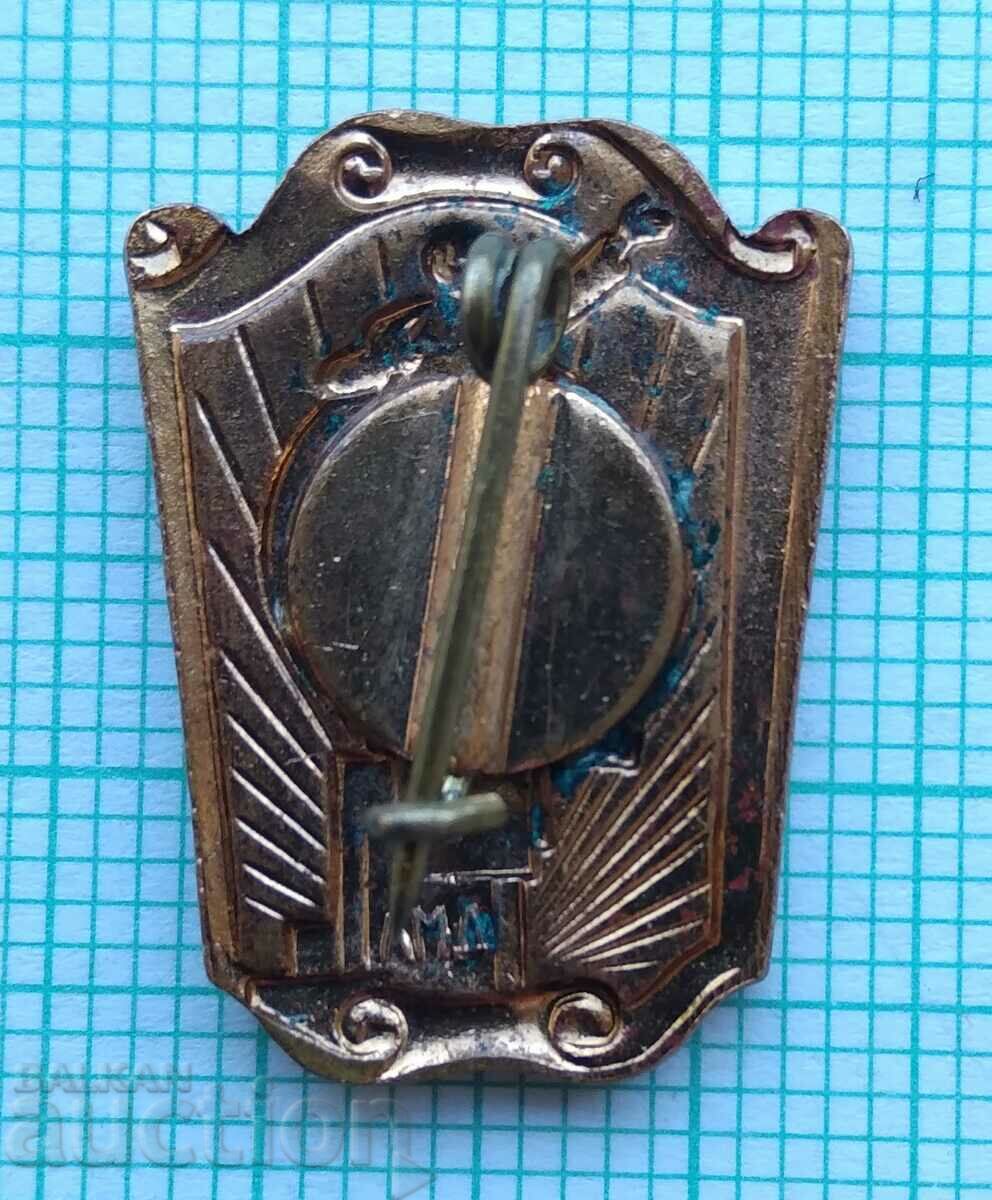 Delivery of 16948 Badge - Lenin monument - bronze enamel