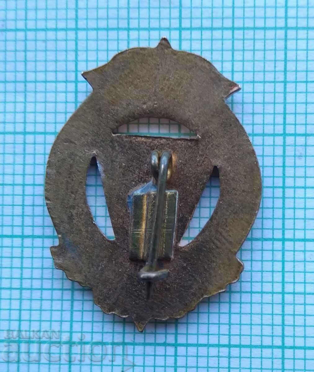 Delivery of 16950 Badge - Young activist in sports USSR - bronze enamel Delivery of 16950 Badge - Young activist in sports USSR - bronze enamel