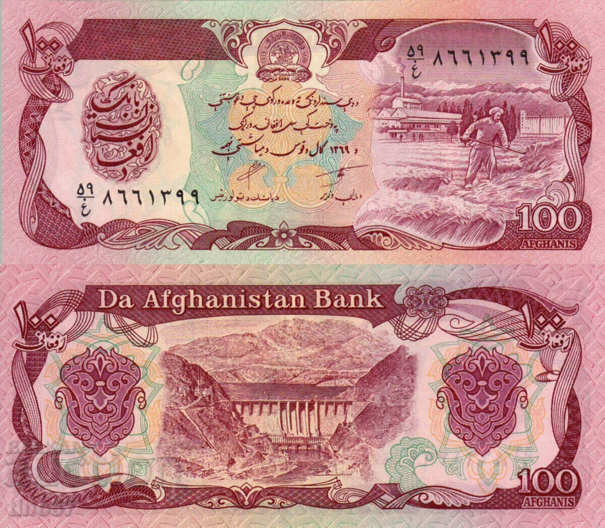 tino37- AFGHANISTAN - 100 AFGHANA - 1990 - UNC