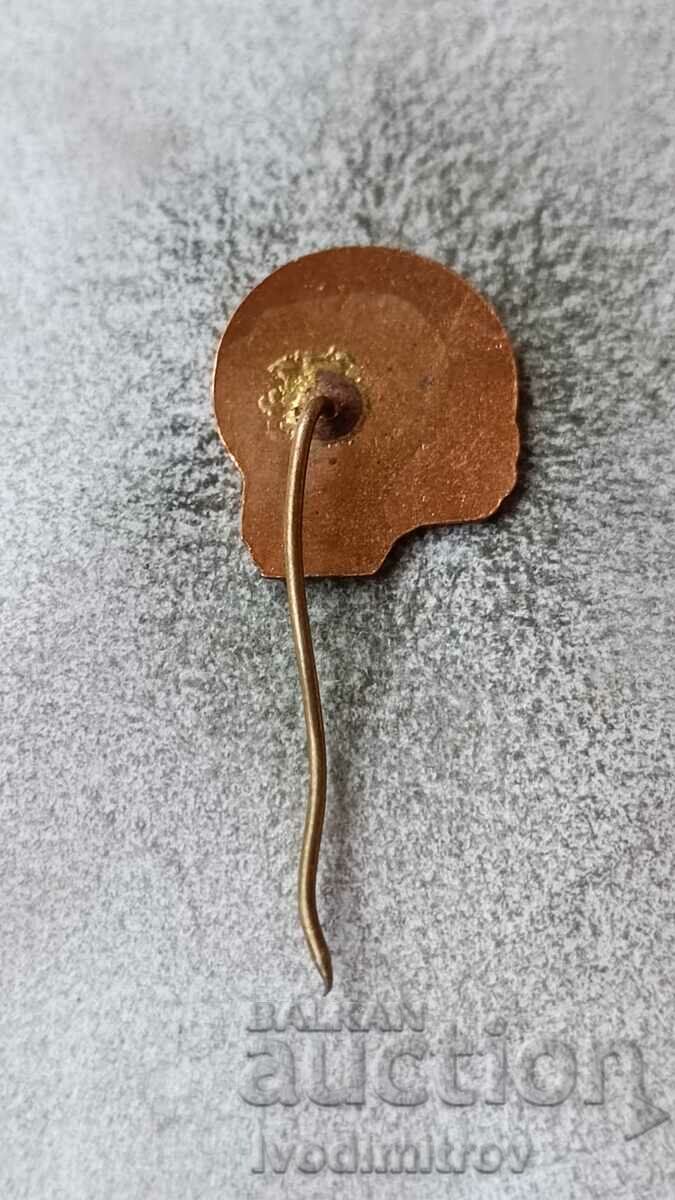 Badge Maritsa East with price 4.65 BGN | € 2.38 Badge Maritsa East with price 4.65 BGN | € 2.38