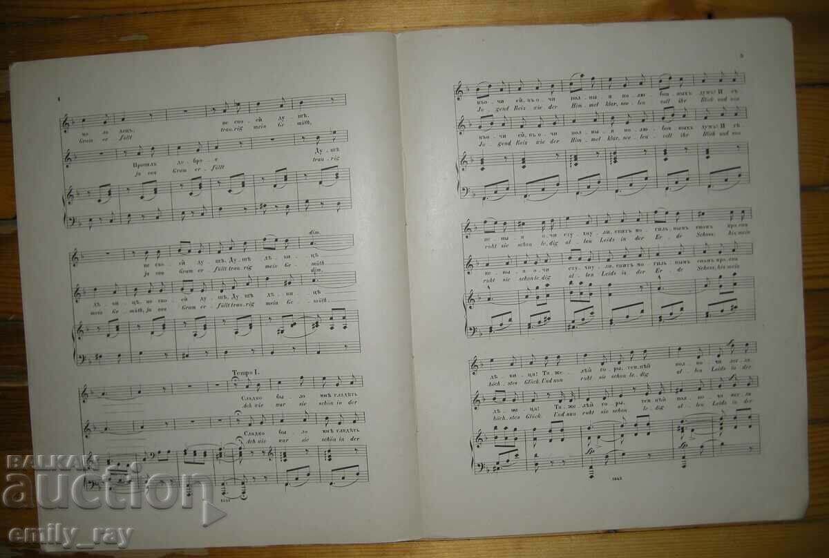 Auction Notes - DON'T MAKE NOISE, ROSE, SLEEPING COlossus / KLAGE Auction Notes - DON'T MAKE NOISE, ROSE, SLEEPING COlossus / KLAGE