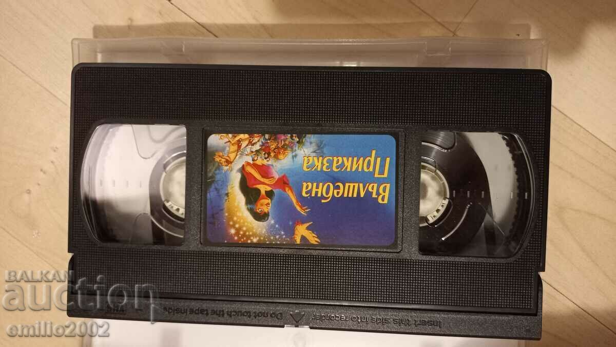 Auction Videotape Animation A magical tale Auction Videotape Animation A magical tale