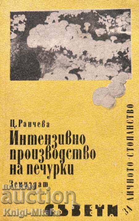 Εντατική παραγωγή μανιταριών - Τσβετάνα Ράντσεβα