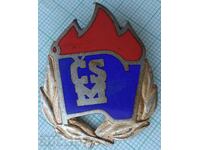 16953 Badge - Czechoslovakia - bronze enamel