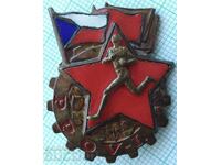 16954 Badge - Czechoslovakia - bronze enamel