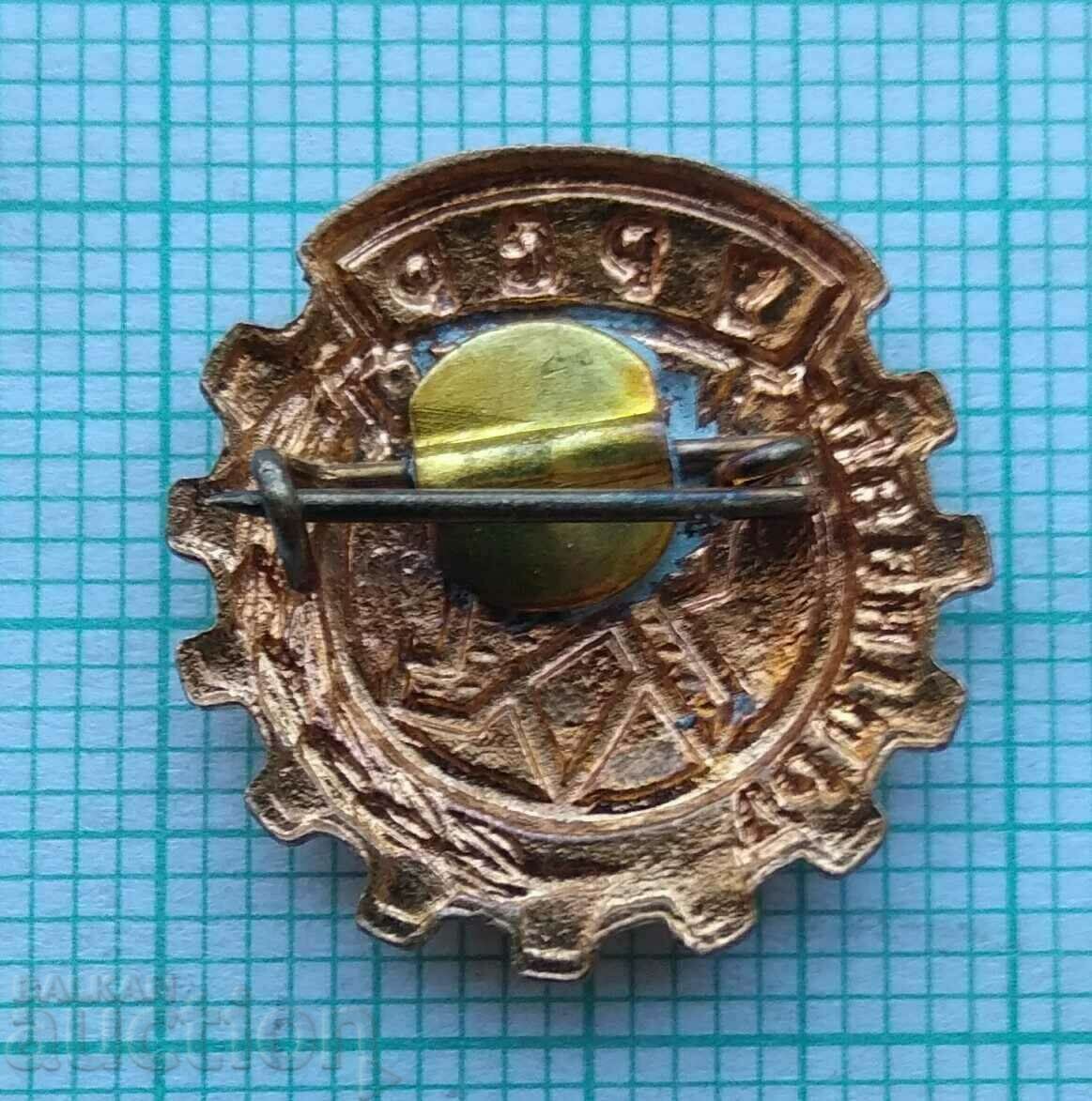 Auction  16955 Badge - Vanguard URSR - bronze enamel