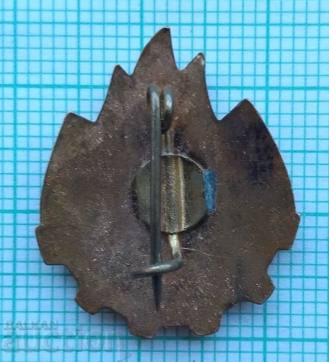 Δημοπρασία 16956 Πάντα έτοιμος - πρωτοπόρος οργανισμός Ρουμανία - σμάλτο Δημοπρασία 16956 Πάντα έτοιμος - πρωτοπόρος οργανισμός Ρουμανία - σμάλτο