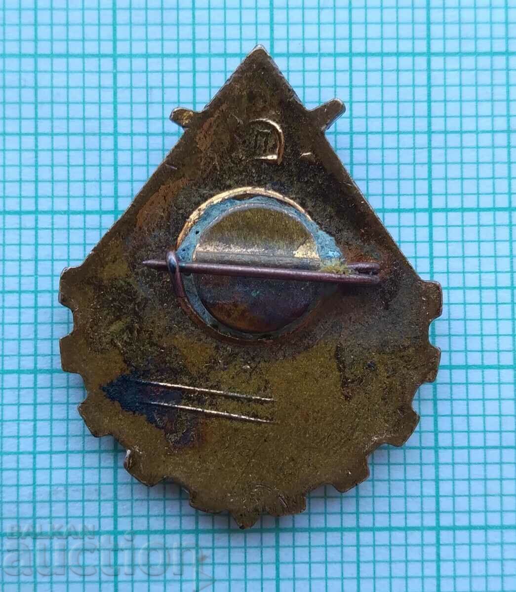 Delivery of 16959 Badge - USSR Young Technician - bronze enamel Delivery of 16959 Badge - USSR Young Technician - bronze enamel