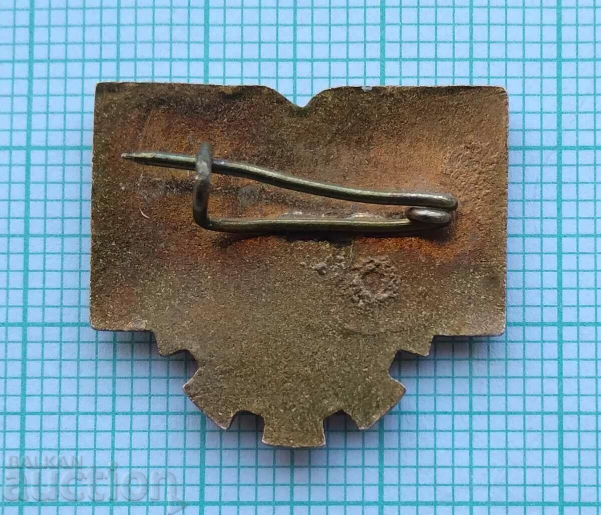 Delivery of 16967 Badge - UNEA - bronze enamel Delivery of 16967 Badge - UNEA - bronze enamel