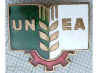 16967 Badge - UNEA - bronze enamel