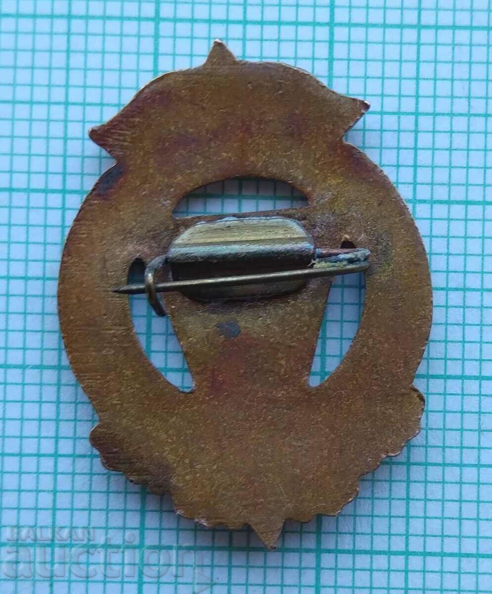 Delivery of 16984 Badge - Young activist in sports USSR - bronze enamel Delivery of 16984 Badge - Young activist in sports USSR - bronze enamel