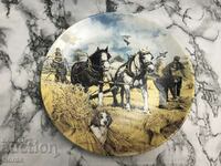 A beautiful collectible Wedgwood plate