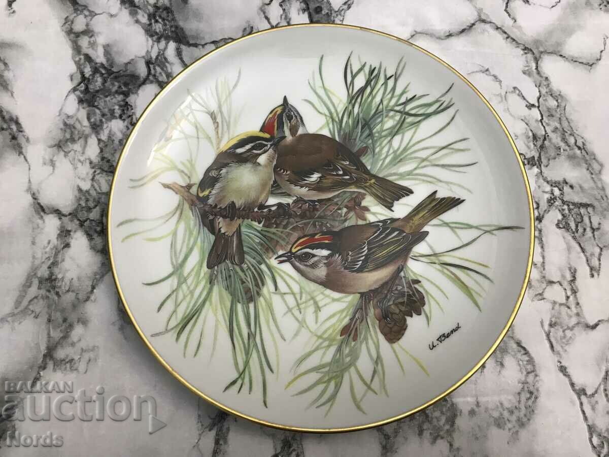 Collector plate Germany