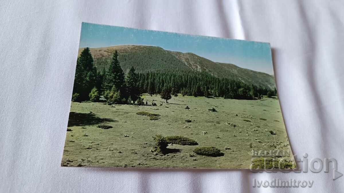 Postcard Berkovskiy Balkan The region of Gorna Koria