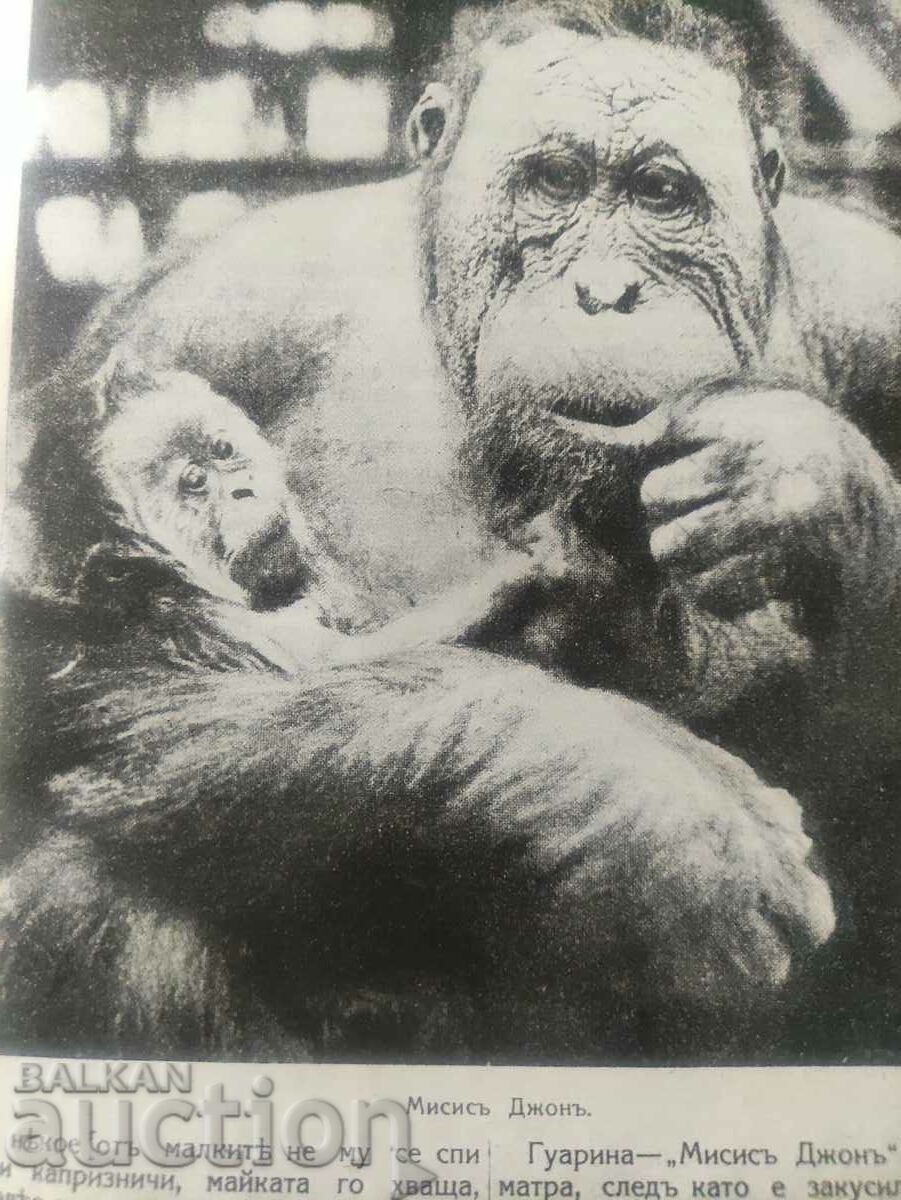 magazine "Science for All" 1933-1937 - 5 magazine "Science for All" 1933-1937 - 5