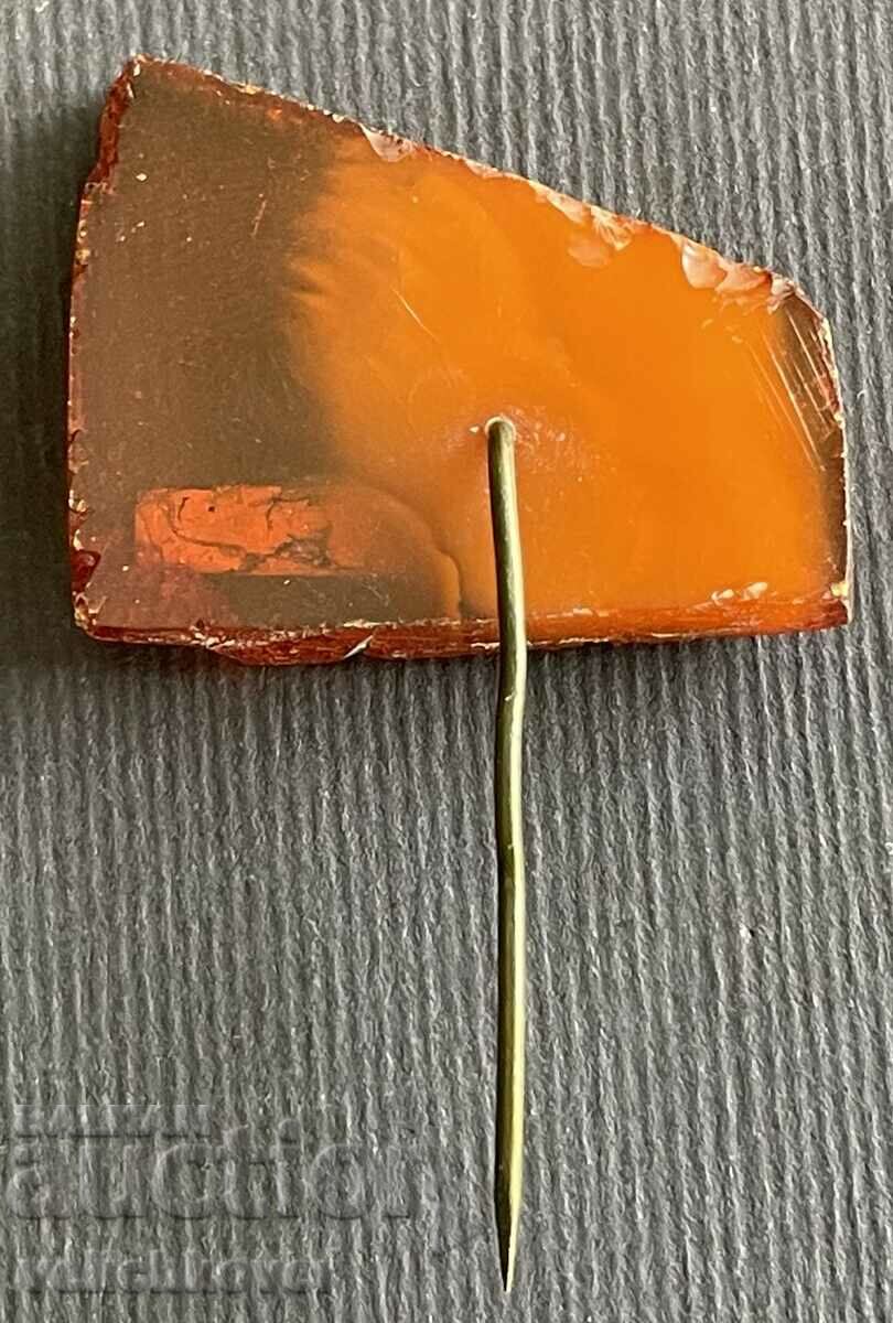 38182 USSR Lithuanian SSR sign coat of arms Vilnius natural amber with price 8.00 BGN | € 4.09 38182 USSR Lithuanian SSR sign coat of arms Vilnius natural amber with price 8.00 BGN | € 4.09