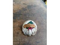 Military Badge, Enamel, Automotive.