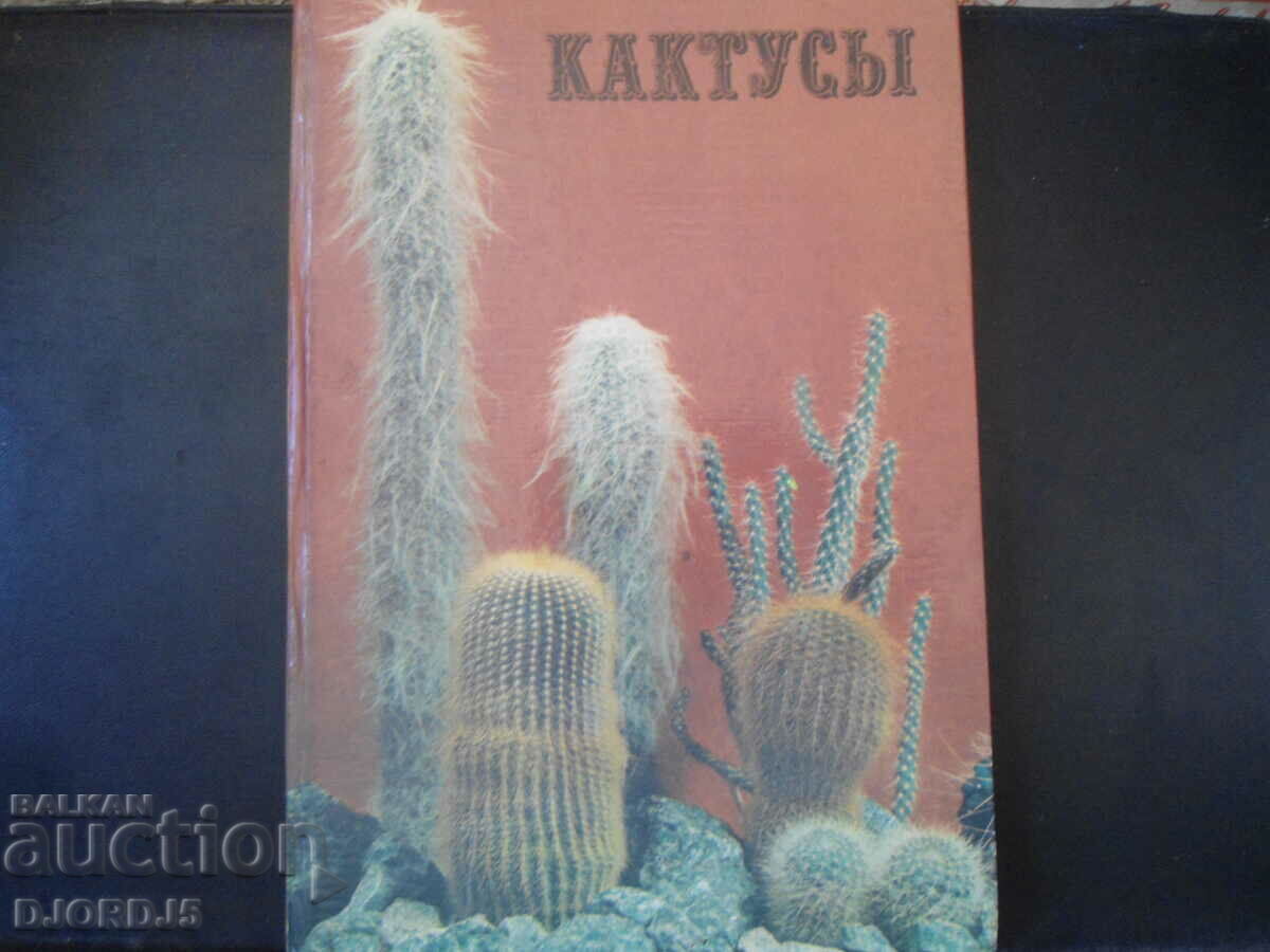 Кактусьй