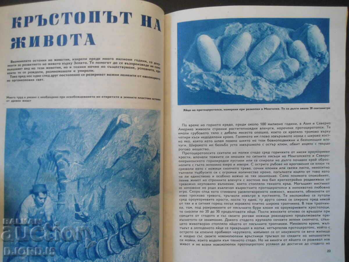 Auction Science and Technology for Youth, Issue 11, 1969. Auction Science and Technology for Youth, Issue 11, 1969.