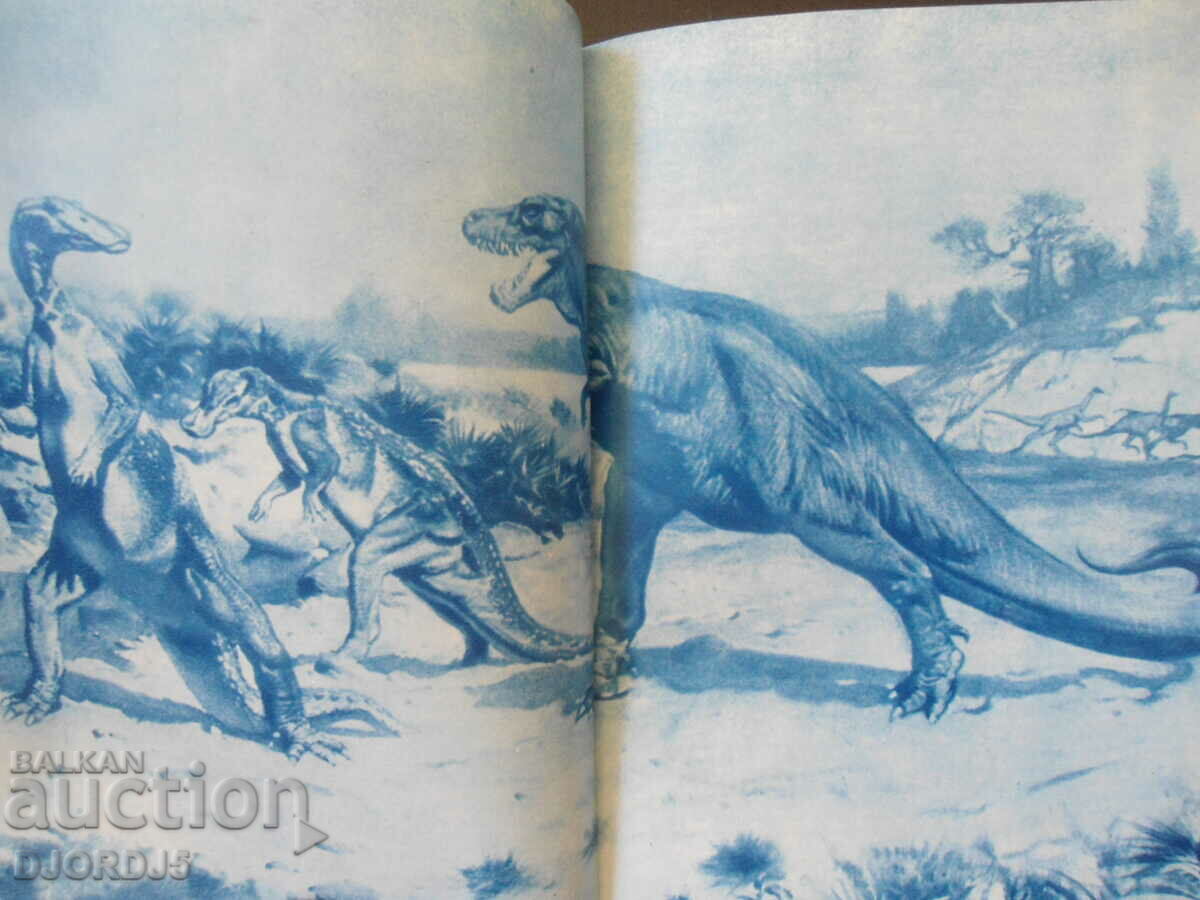 Delivery of Science and Technology for Youth, Issue 11, 1969. Delivery of Science and Technology for Youth, Issue 11, 1969.