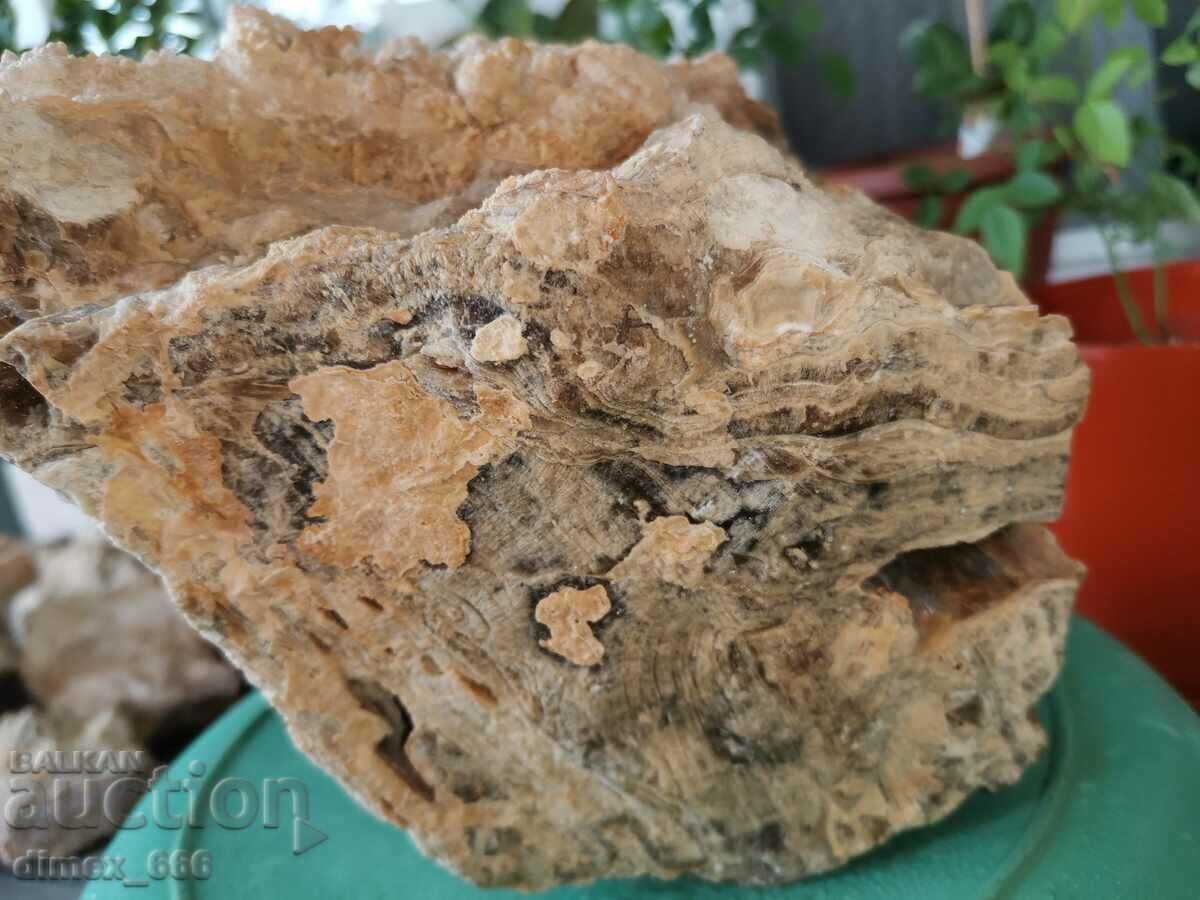 Marble Onyx, Calcite, Aragonite - 5 Marble Onyx, Calcite, Aragonite - 5