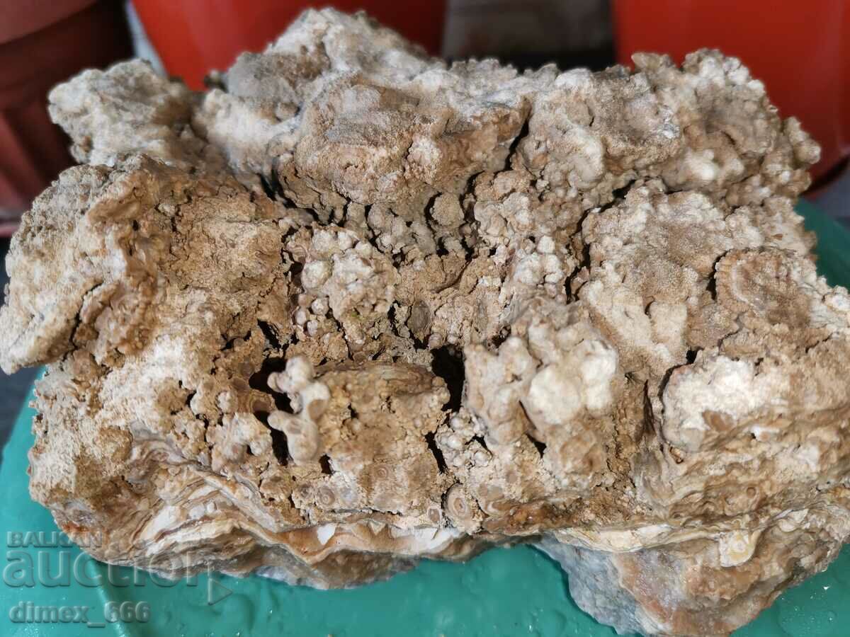 Marble Onyx, Calcite, Aragonite, Cave Formation with price 35.00 BGN | € 17.90 Marble Onyx, Calcite, Aragonite, Cave Formation with price 35.00 BGN | € 17.90