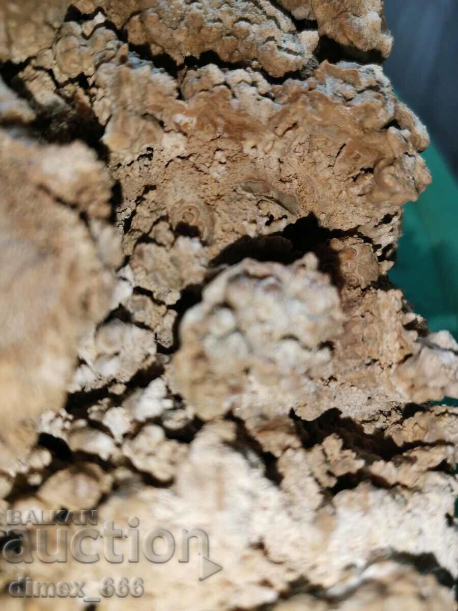 Auction Marble Onyx, Calcite, Aragonite, Cave Formation Auction Marble Onyx, Calcite, Aragonite, Cave Formation