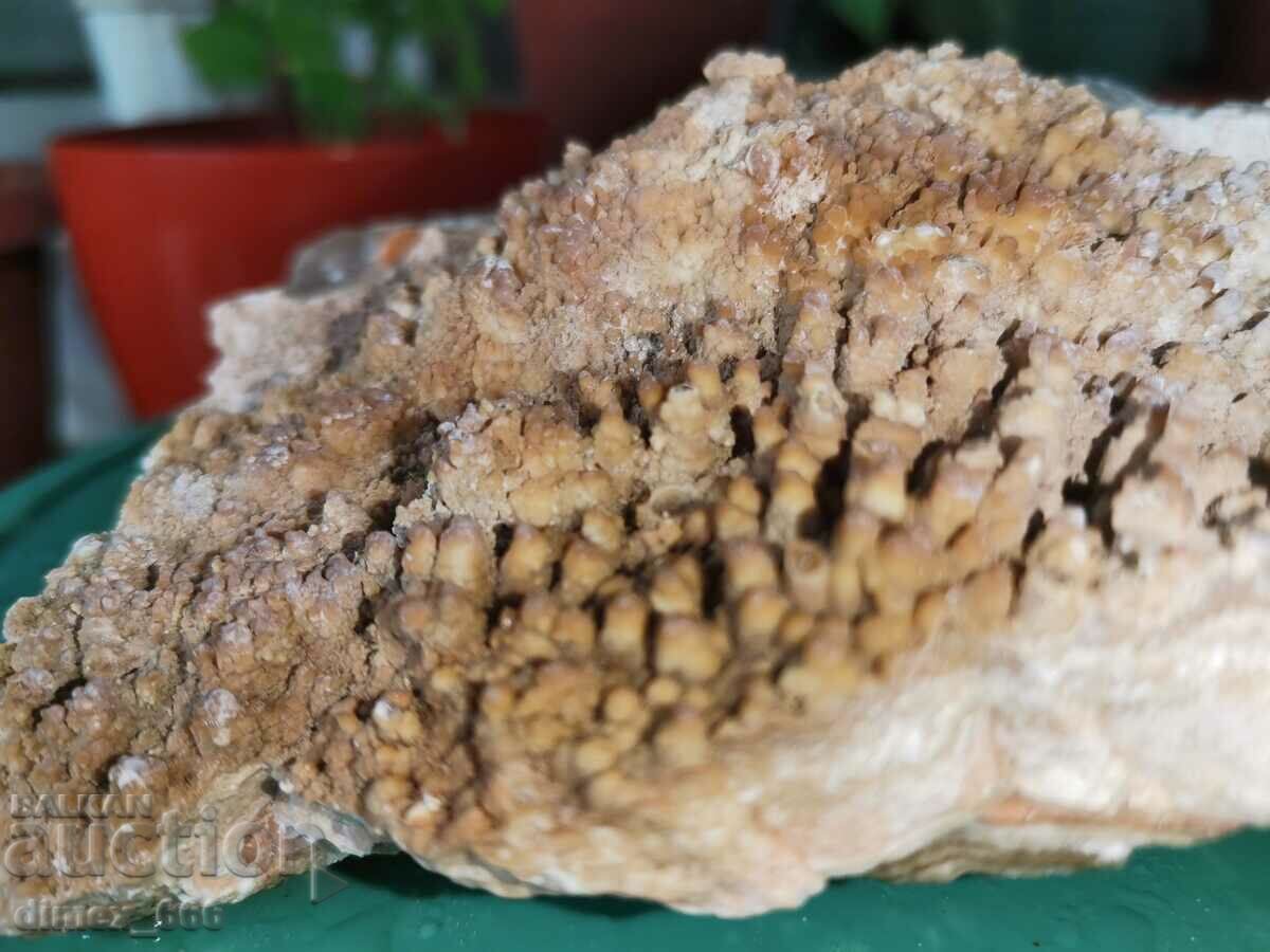 Мраморен оникс, Калцит, Арагонит, пещерно образувание с цена 20.00 лв. | € 10.23 Мраморен оникс, Калцит, Арагонит, пещерно образувание с цена 20.00 лв. | € 10.23