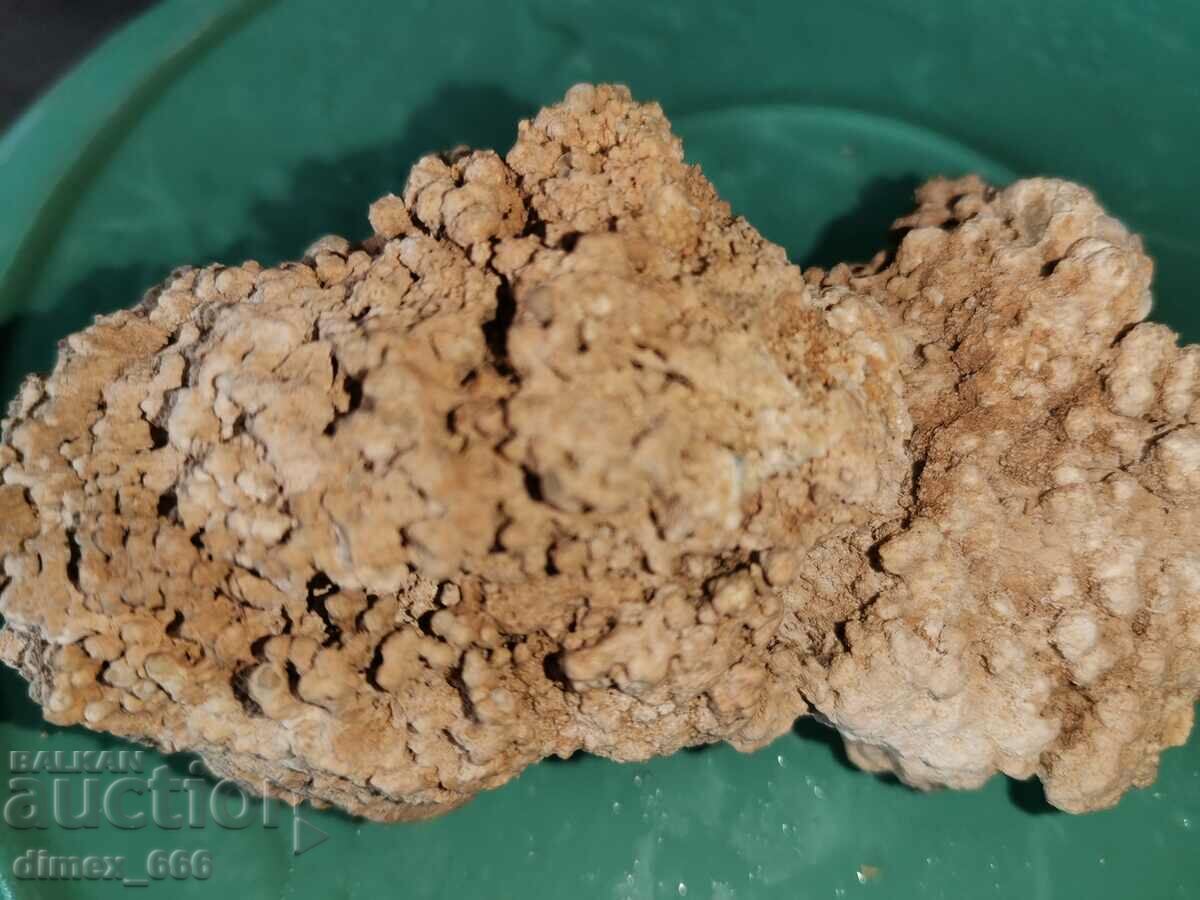 Δημοπρασία Σχηματισμός σπηλαίου Δημοπρασία Σχηματισμός σπηλαίου