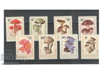 Mushrooms 1961 - serrated series