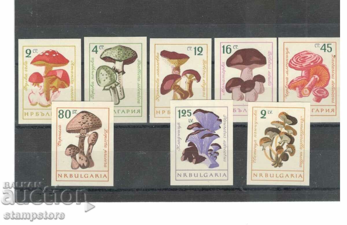 Mushrooms 1961 - non-serrated series