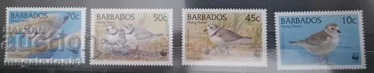 Barbados - WWF fauna, birds